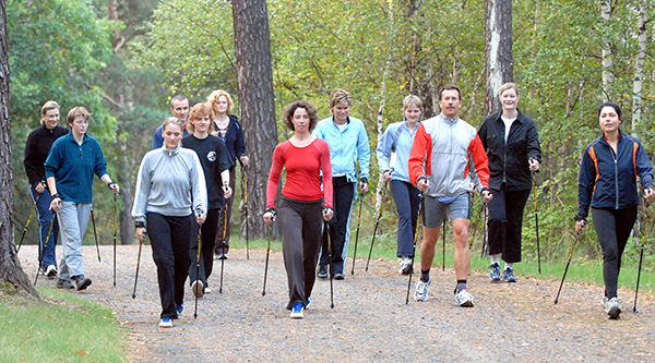 People doing Nordic walking in the woods