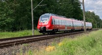 Regionalbahn fährt durch grüne Landschaft