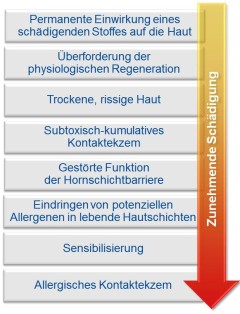 Schematische Darstellung