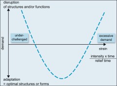 U-curve