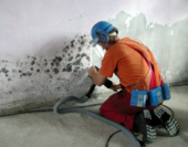 Removal of mouldy wall material