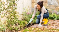 Eine Frau arbeitet im Garten mit Gartenhandschuhe in einem Beet.