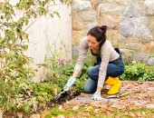 Eine Frau arbeitet im Garten mit Gartenhandschuhe in einem Beet.