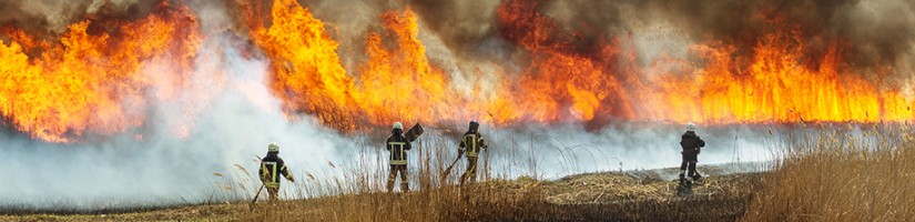 Feuerwehreinsatzkraefte bei der Bekämpfung eines Vegetationsbrandes